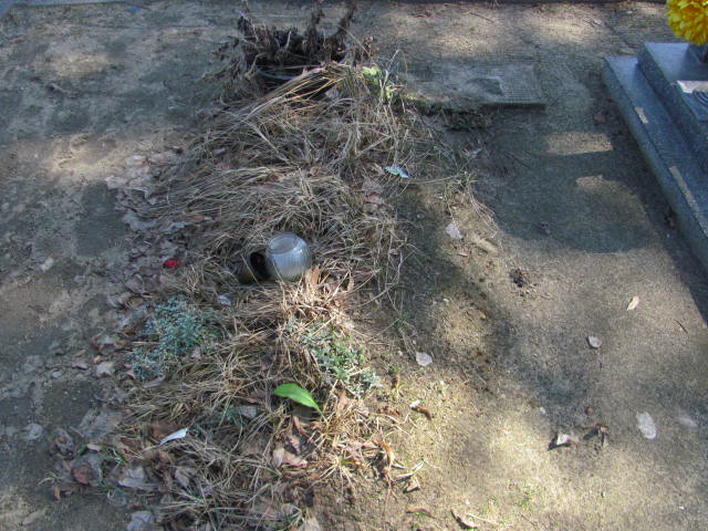  NN Konin Łężyn - Grobonet - Wyszukiwarka osób pochowanych